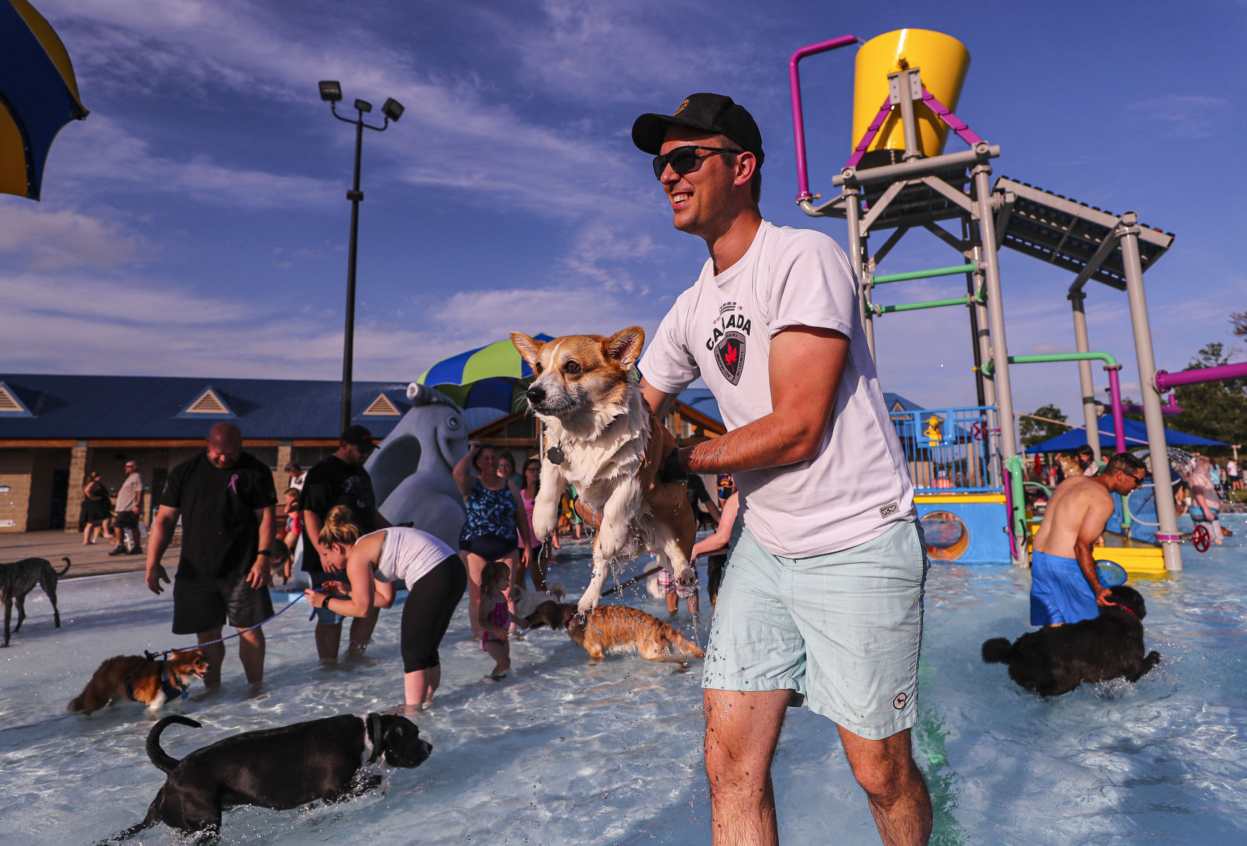 Doggie Dip 9
